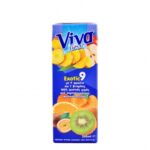 VIVA EXOTIC ΦΥΣΙΚΟΣ ΧΥΜΟΣ 250ml