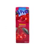 VIVA ΒΥΣΣΙΝΟ ΦΡΟΥΤΟΠΟΤΟ 250ml