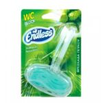 ENDLESS WC BLOCK ΠΕΥΚΟ 40gr