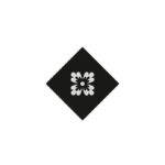 AIRLAID ΧΑΡΤΟΠΕΤΣΕΤΑ 20Χ20 ΜΑΥΡΗ Συσκ.3000τμχ-10Χ300 (ιδανική για σουβέρ)