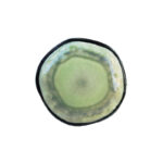 ΠΙΑΤΟ ΒΑΘΥ ORGANIC PARADISE 25CM